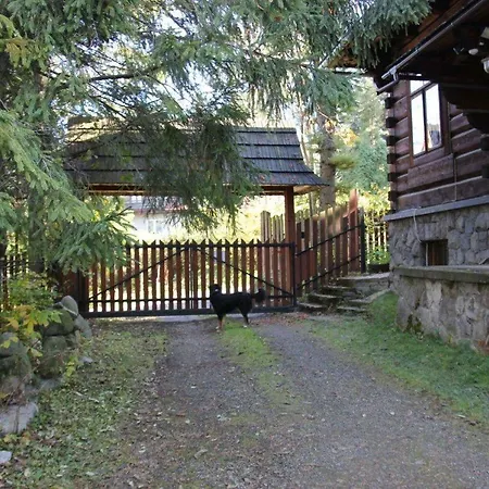 Darzenka * Zakopane