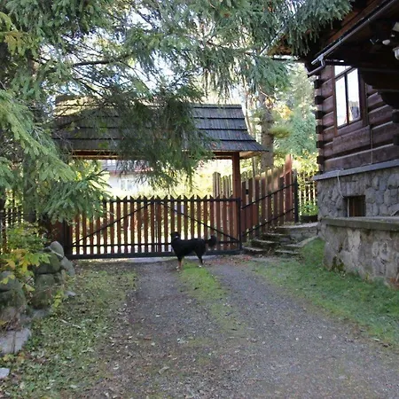 Darzenka * Zakopane